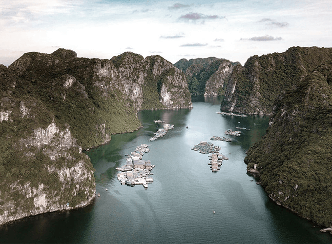 Halong Violet Cruise